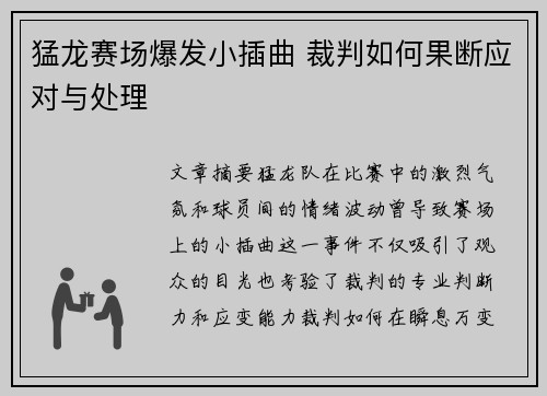 猛龙赛场爆发小插曲 裁判如何果断应对与处理