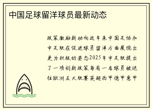 中国足球留洋球员最新动态