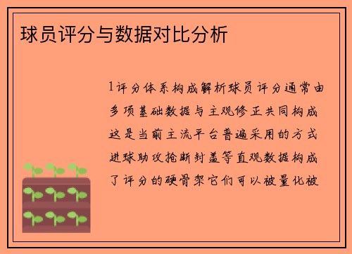 球员评分与数据对比分析